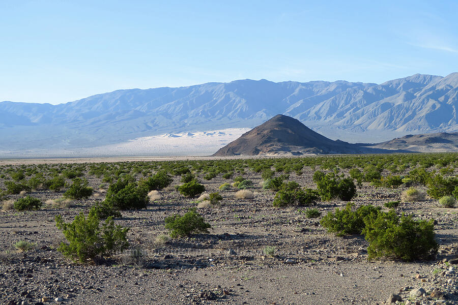 Lake Hill & Panamint Dunes [Lake Road, Death Valley National Park, Inyo County, California]