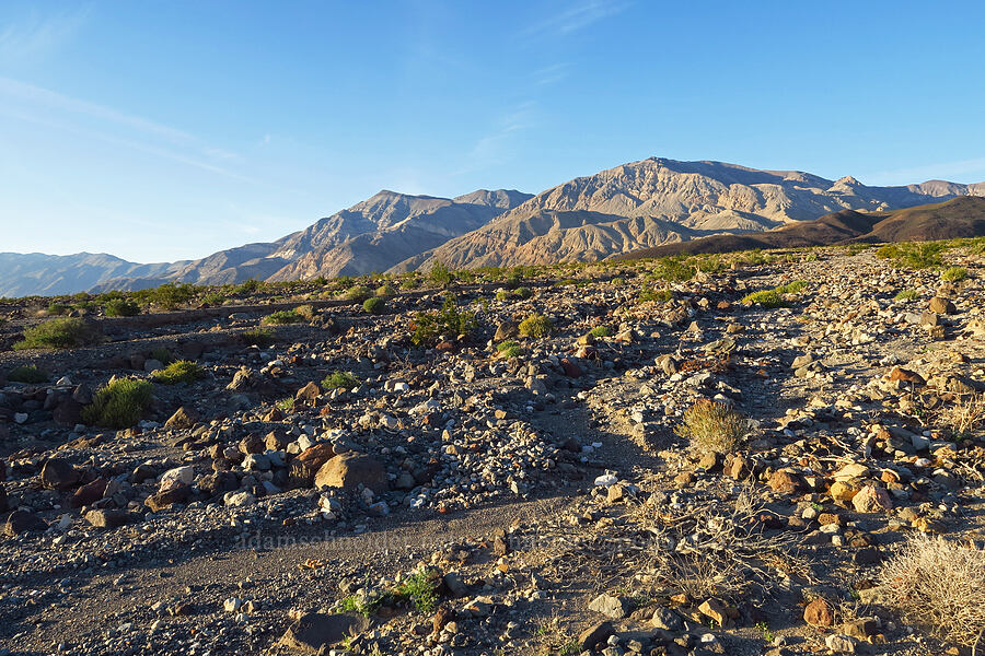 Panamint Butte & alluvial fans [Panamint Valley, Death Valley National Park, Inyo County, California]