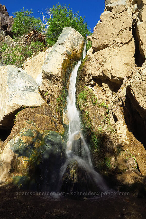Darwin Falls [Darwin Falls Trail, Death Valley National Park, Inyo County, California]