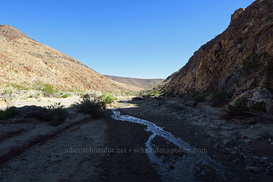 Darwin Wash [Darwin Falls Trail, Death Valley National Park, Inyo County, California]