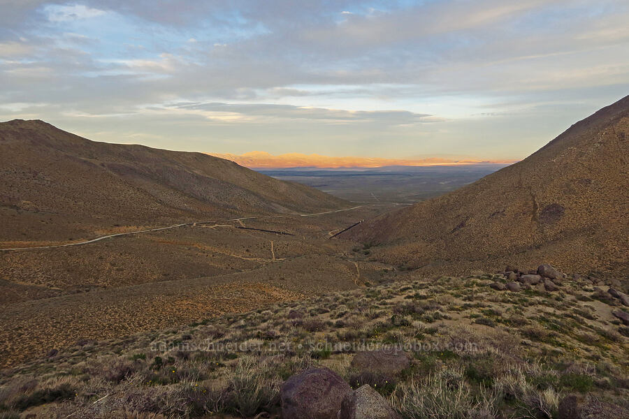 view toward the Argus Range [Nine Mile Canyon Road, Inyo County, California]