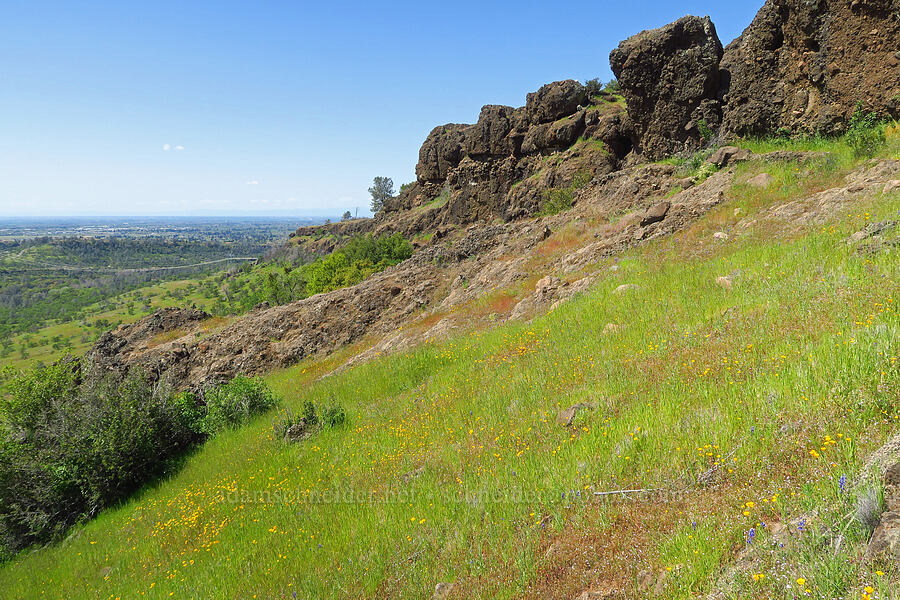 crags & wildflowers [Upper Bidwell Park, Chico, Butte County, California]
