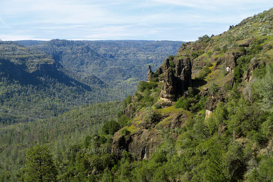 Chico Canyon [Big Chico Creek Ecological Reserve, Butte County, California]