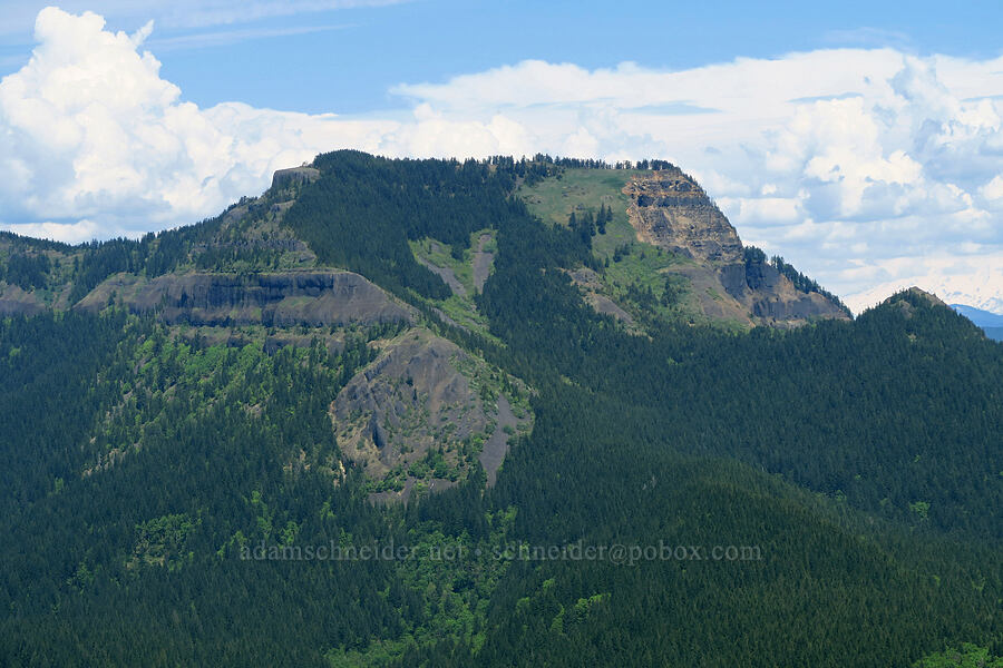 Table Mountain [Hamilton Mountain, Beacon Rock State Park, Skamania County, Washington]