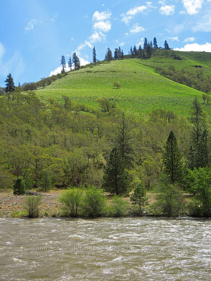 Klickitat River [Mineral Springs Wildlife Area, Klickitat County, Washington]