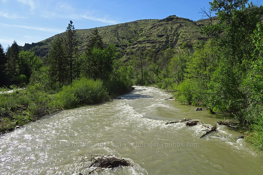 Tieton River [Tieton Nature Trail, Yakima County, Washington]