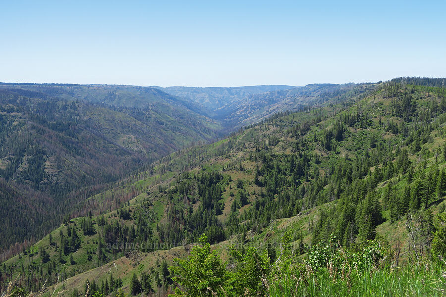 Tucannon River Valley [Forest Road 40, Umatilla National Forest, Garfield County, Washington]