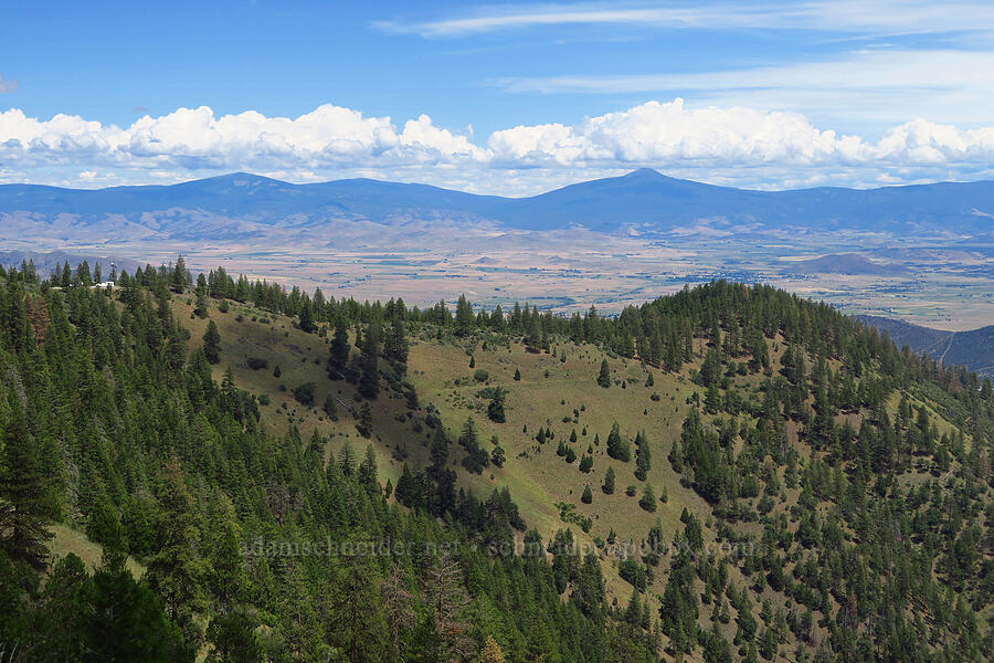 Shasta Valley [Gunsight-Humbug Ridge, Klamath National Forest, Siskiyou County, California]