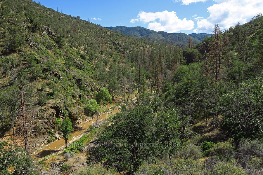 Humbug Creek [Humbug Creek Road, Klamath National Forest, Siskiyou County, California]