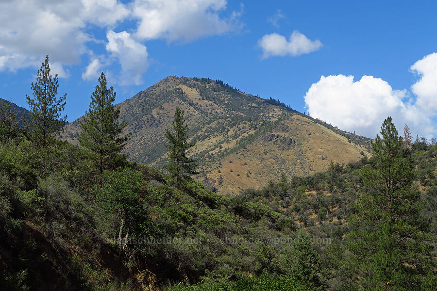 Little Cottonwood Peak [Humbug Creek Road, Klamath National Forest, Siskiyou County, California]