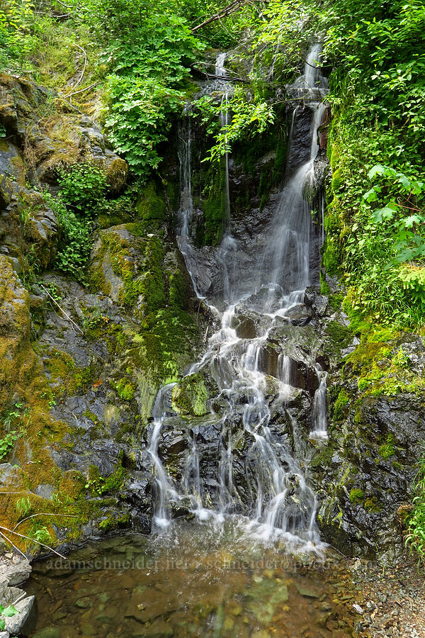 roadside waterfall [Forest Road 25, Rogue River-Siskiyou National Forest, Josephine County, Oregon]