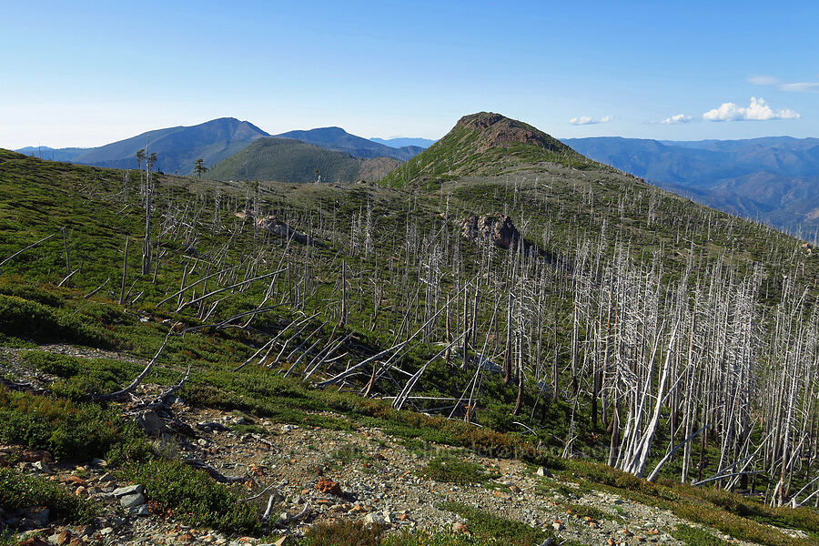 Whetstone Butte & Pearsoll Peak [Kalmiopsis Rim Trail, Rogue River-Siskiyou National Forest, Josephine County, Oregon]