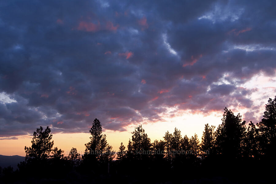 sunset [Pine Mountain, Deschutes County, Oregon]