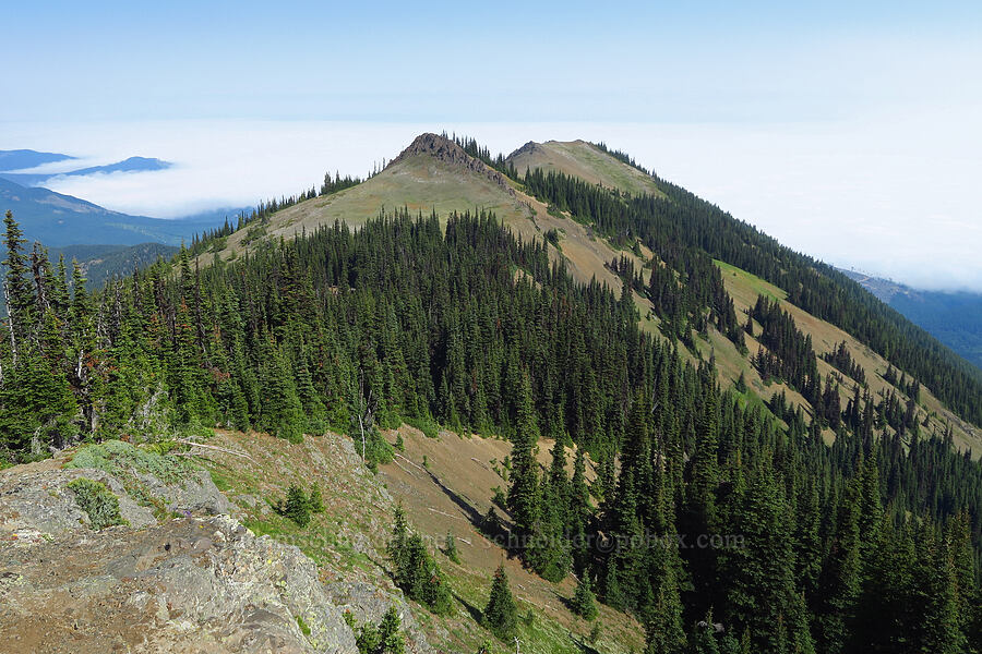 northwest ridge of Blue Mountain [Blue Mountain, Olympic National Park, Clallam County, Washington]
