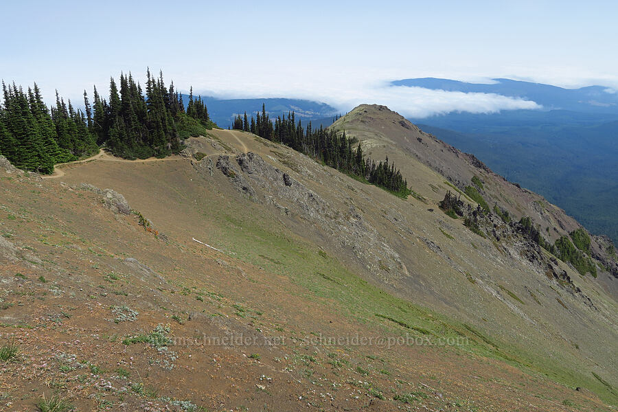 northeast ridge of Blue Mountain [Blue Mountain, Olympic National Park, Clallam County, Washington]