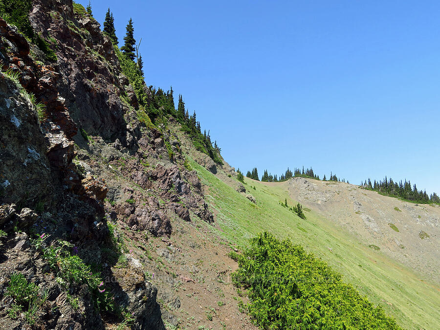 rocky ridge [Blue Mountain, Olympic National Park, Clallam County, Washington]
