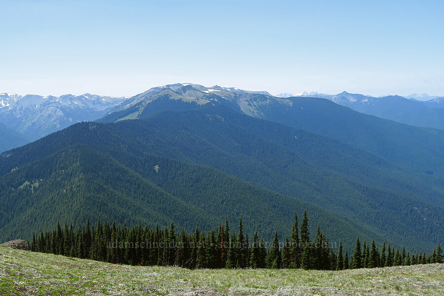 Maiden Peak [Blue Mountain, Olympic National Park, Clallam County, Washington]