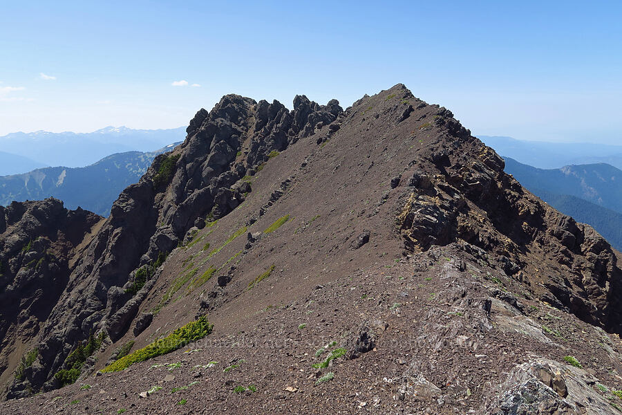 Mount Angeles' summit ridge [Mount Angeles, Olympic National Park, Clallam County, Washington]