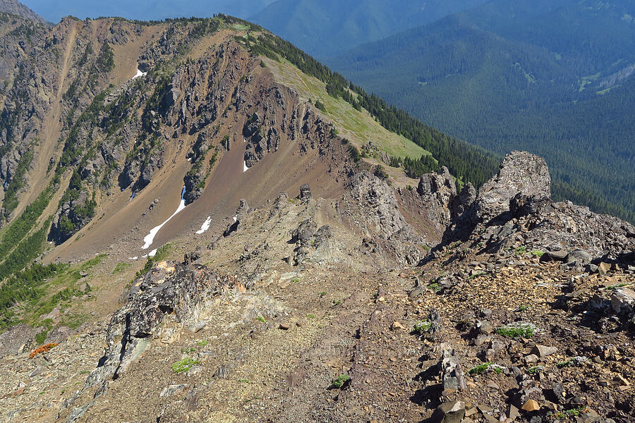east slope of Mount Angeles & Klahhane Ridge [Mount Angeles, Olympic National Park, Clallam County, Washington]