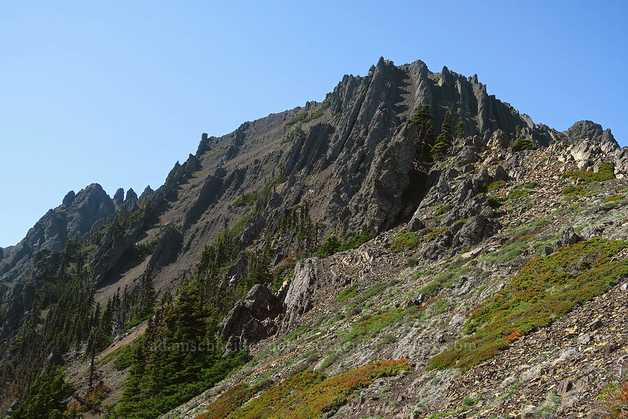 east side of Mount Angeles [Switchback Trail, Olympic National Park, Clallam County, Washington]