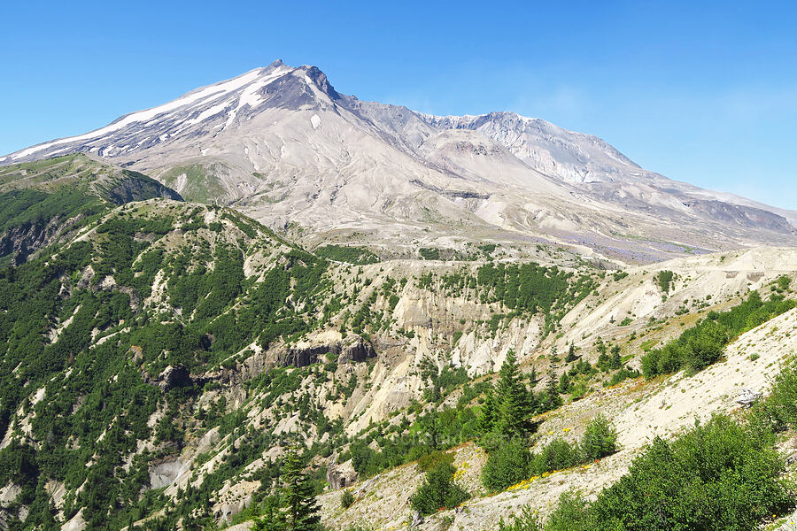 Mount St. Helens [Truman Trail, Mt. St. Helens National Volcanic Monument, Skamania County, Washington]