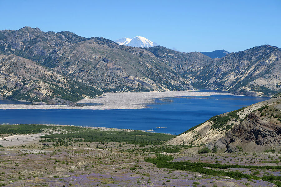 Spirit Lake & Mount Rainier [Loowit Trail, Mt. St. Helens National Volcanic Monument, Skamania County, Washington]
