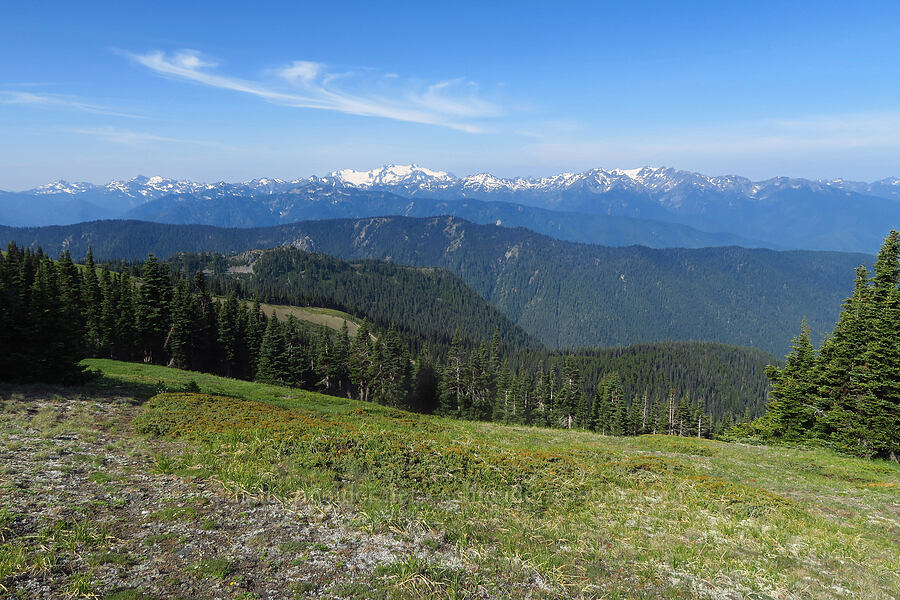 Olympic Mountains [Eagle Point Trail, Olympic National Park, Clallam County, Washington]