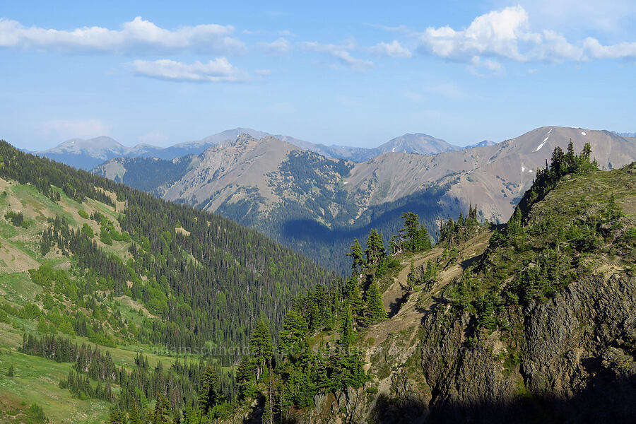Badger Valley & the ridge above Grand Valley [Obstruction Point-Deer Park Trail, Olympic National Park, Clallam County, Washington]