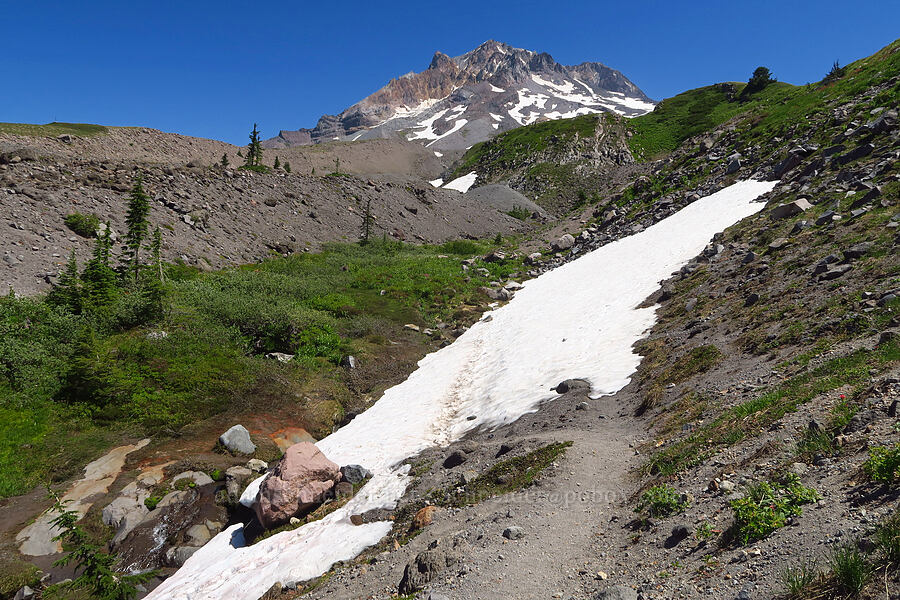 Mount Hood & snow [Paradise Park Loop Trail, Mt. Hood Wilderness, Clackamas County, Oregon]