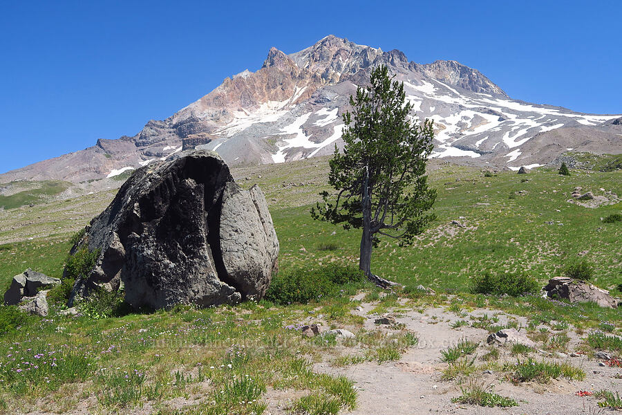 Mount Hood & Split Rock [Paradise Park, Mt. Hood Wilderness, Clackamas County, Oregon]