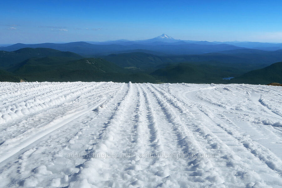 snowcat tracks [above Timberline Lodge, Mt. Hood Wilderness, Clackamas County, Oregon]