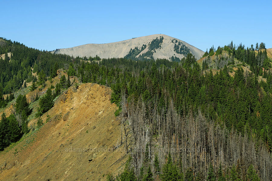 Shellrock Peak [Ironstone Mountain Trail, William O. Douglas Wilderness, Yakima County, Washington]