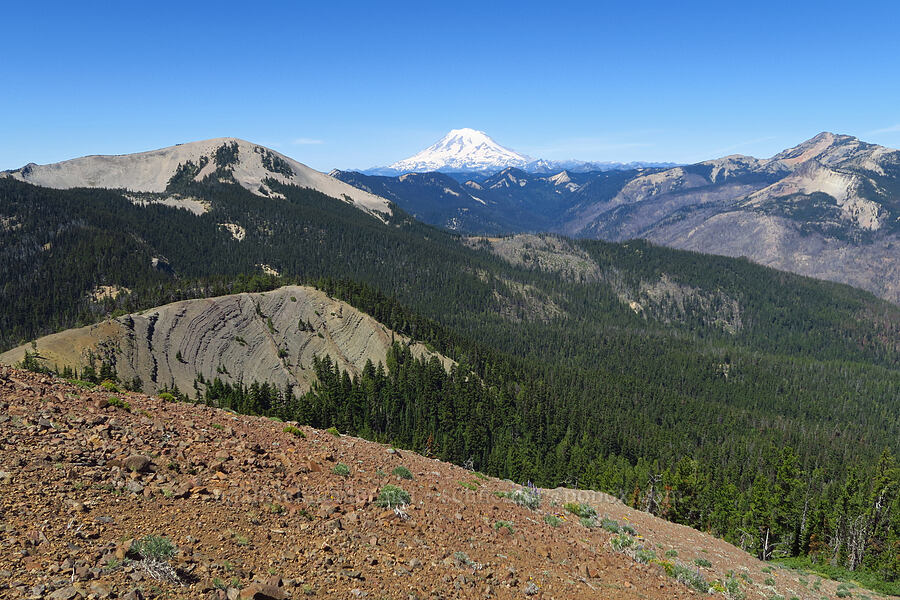 Shellrock Peak, Mount Rainier, & Bismarck Peak [Burnt Mountain, William O. Douglas Wilderness, Yakima County, Washington]