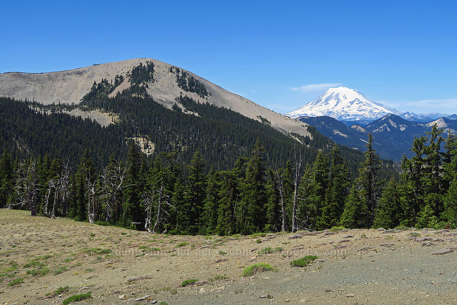 Shellrock Peak & Mount Rainier [Ironstone Mountain Trail, William O. Douglas Wilderness, Yakima County, Washington]