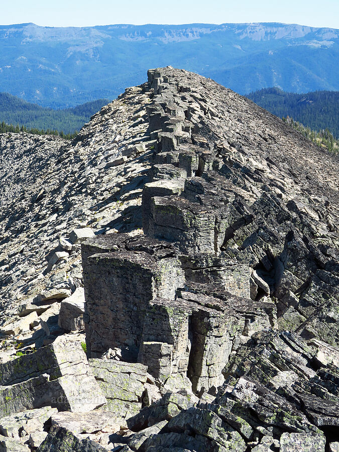 crest of Shellrock Peak [Shellrock Peak, William O. Douglas Wilderness, Yakima County, Washington]