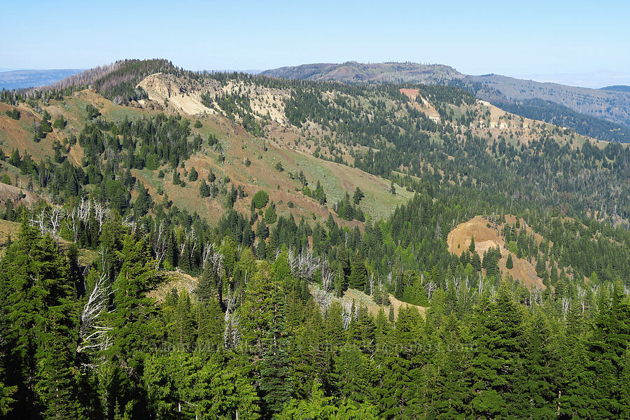 Bethel Ridge [Ironstone Mountain Trail, William O. Douglas Wilderness, Yakima County, Washington]