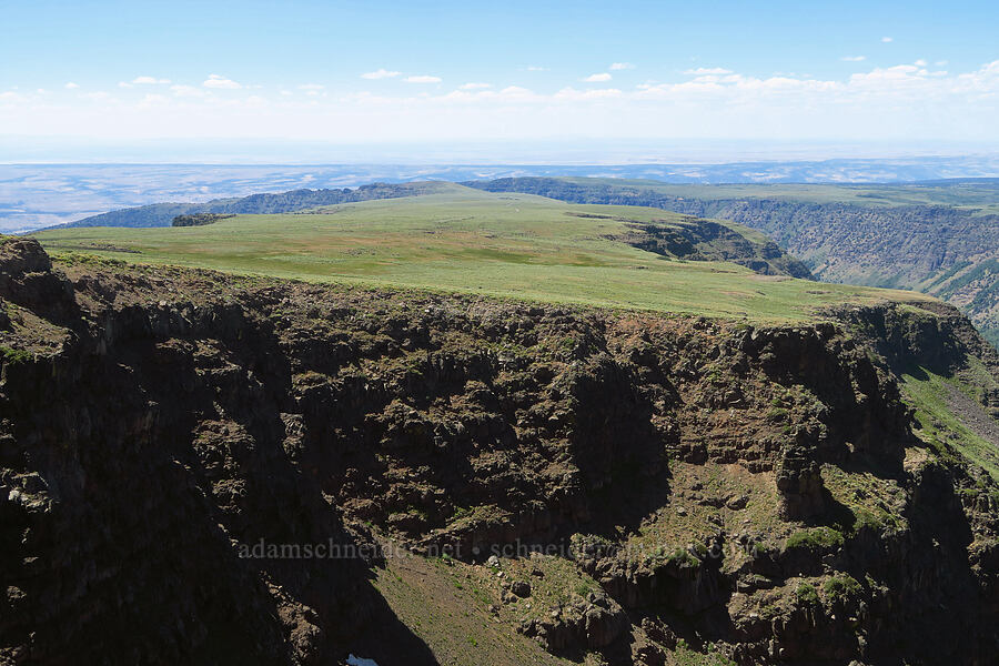 plateau between Big Indian Canyon & Little Blitzen Gorge [South Loop Road, Steens Mountain, Harney County, Oregon]
