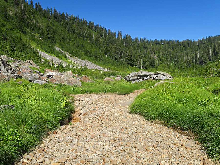 dry creek bed [Lake Ann Trail, Mt. Baker Wilderness, Whatcom County, Washington]
