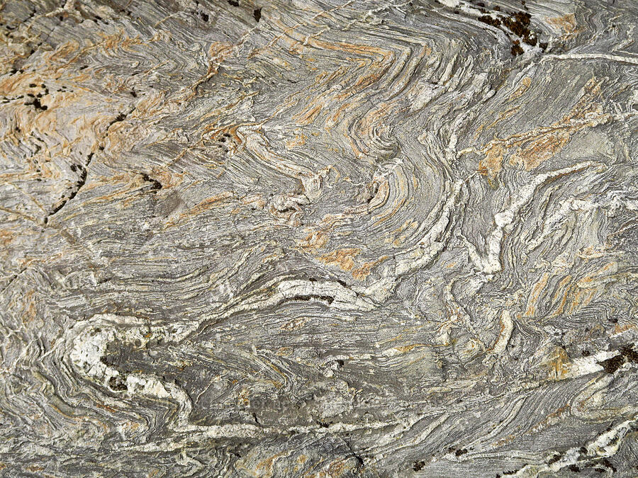 swirly rock [Lake Ann Trail, Mt. Baker Wilderness, Whatcom County, Washington]