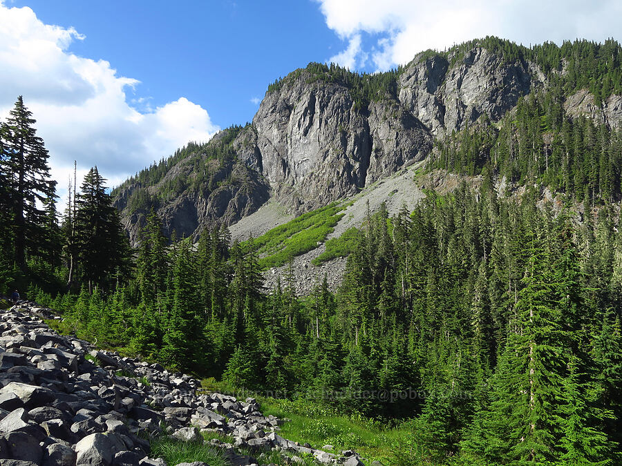 Shuksan Arm [Lake Ann Trail, Mt. Baker Wilderness, Whatcom County, Washington]
