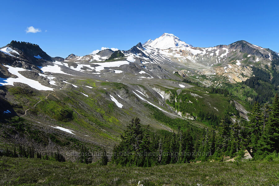 Mount Baker [Ptarmigan Ridge Trail, Mt. Baker Wilderness, Whatcom County, Washington]