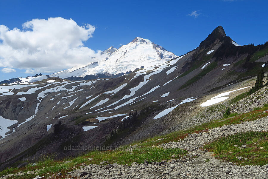 Mount Baker & Coleman Pinnacle [Ptarmigan Ridge Trail, Mt. Baker Wilderness, Whatcom County, Washington]