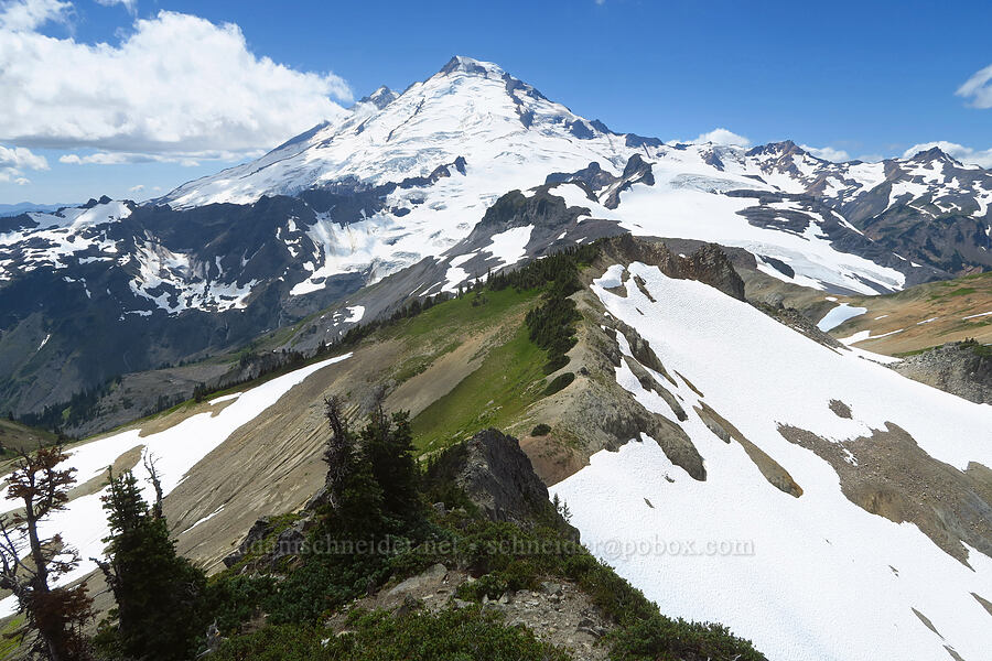 Mount Baker [Coleman Pinnacle, Mt. Baker Wilderness, Whatcom County, Washington]