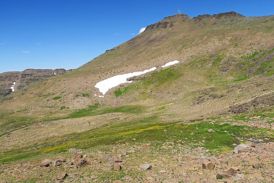 summit, snowfields, & springs [east of Wildhorse Lake, Steens Mountain, Harney County, Oregon]