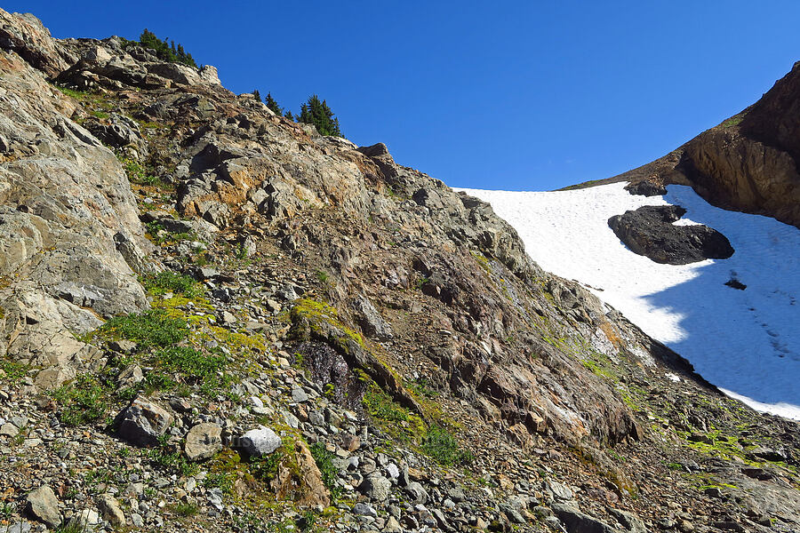 snowfields & rocky seeps [Winchester Mountain, Mt. Baker Wilderness, Whatcom County, Washington]