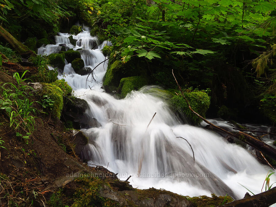 Wahkeena Creek [Wahkeena Trail, Mt. Hood National Forest, Multnomah County, Oregon]