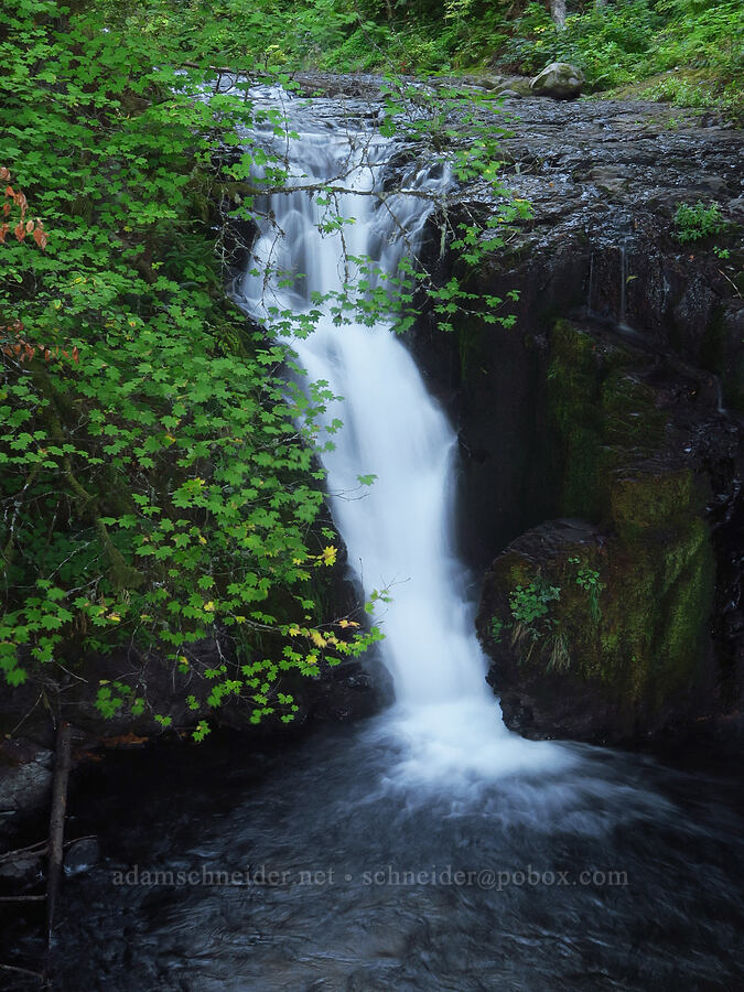 Little Multnomah Falls [Multnomah Falls Trail, Mt. Hood National Forest, Multnomah County, Oregon]