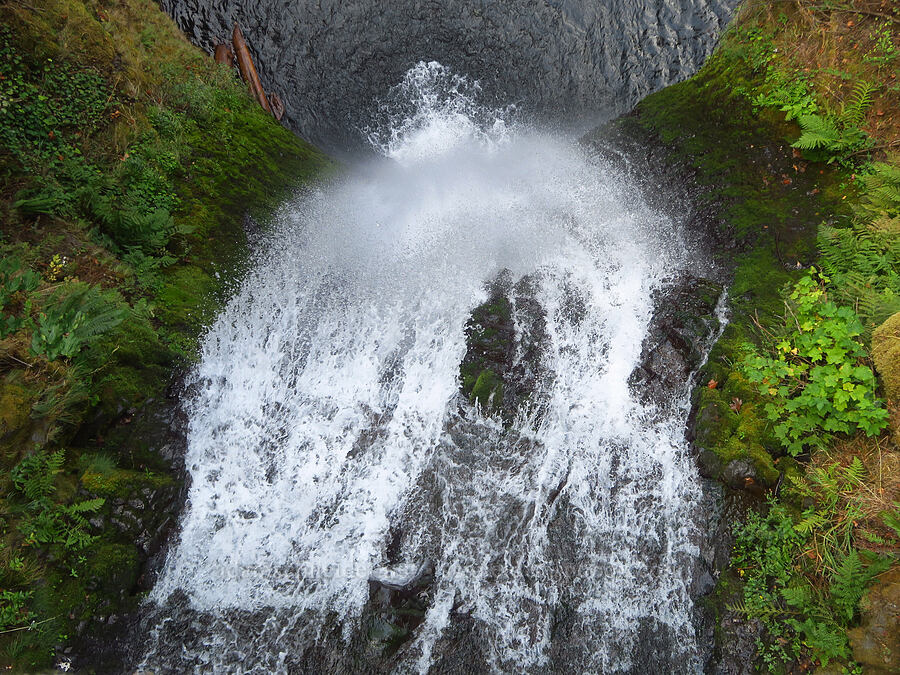 Lower Multnomah Falls [Multnomah Falls Trail, Mt. Hood National Forest, Multnomah County, Oregon]