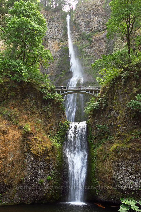 Multnomah Falls [Multnomah Falls Trail, Mt. Hood National Forest, Multnomah County, Oregon]