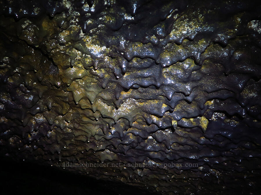 lava drips [Ape Cave, Mt. St. Helens National Volcanic Monument, Skamania County, Washington]